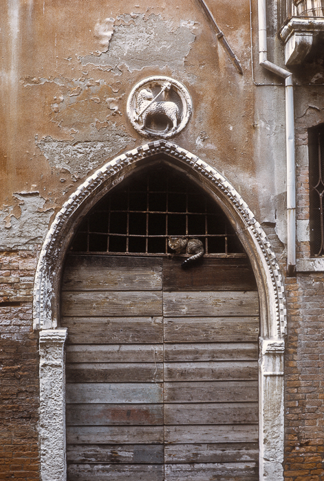 Traditional doorway and cat, Venice, Italy