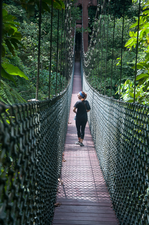 Canopy walkway, Ulu Temburong National Park