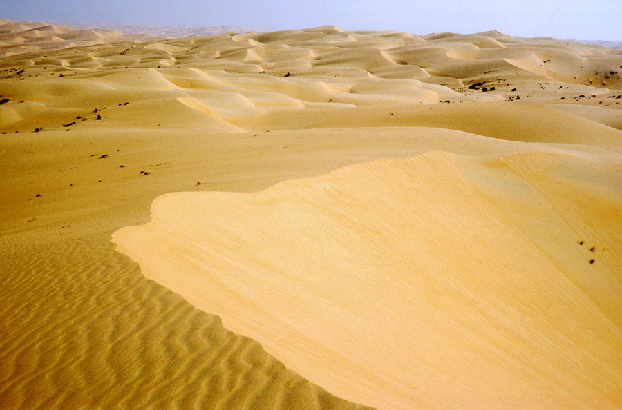 Liwa Oasis on the edge of the Empty Quarter