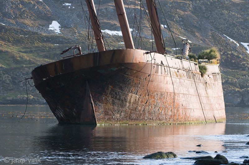 Bayard Ship Wreck