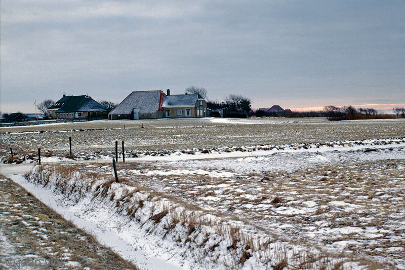 Terschelling - Kaard
