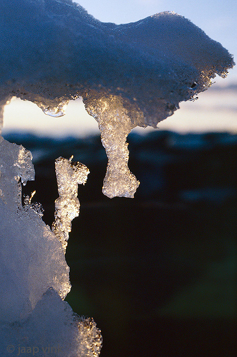 Ice creations at Cape Merry - IJscreaties bij Cape Merry