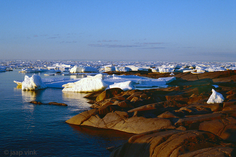 Ice creations at Cape Merry - IJscreaties bij Cape Merry