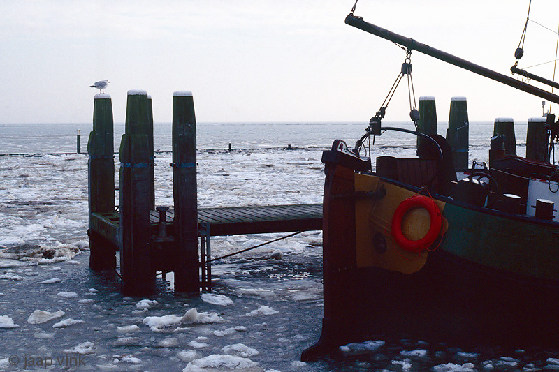 West-Terschelling - Harbour - Haven