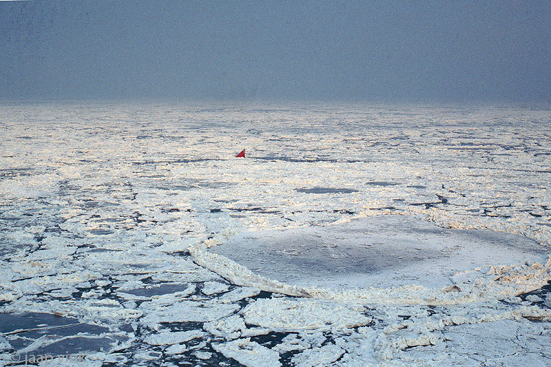 MV Friesland crossing the frozen Wadden Sea - MS Friesland steekt bevroren Waddenzee over