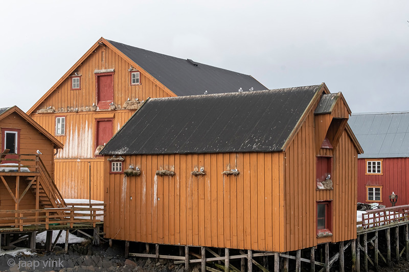 Historic Wooden Warehouses - Historische houten pakhuizen