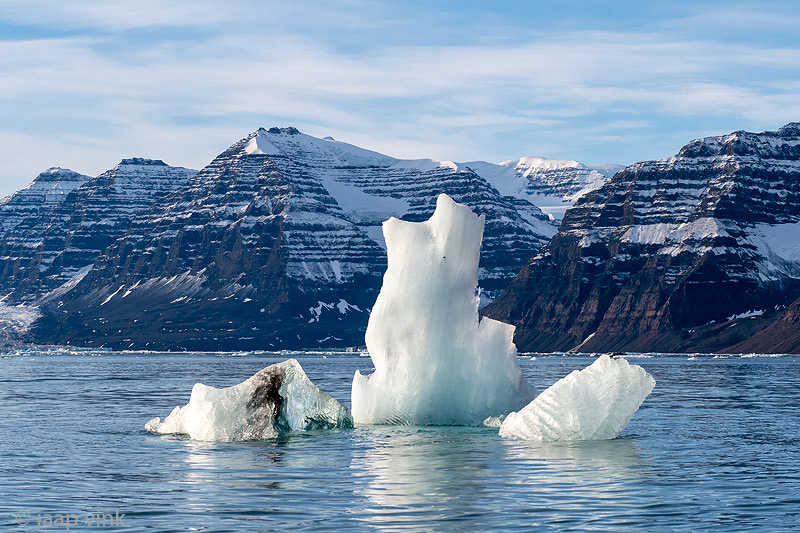 Ice sculptures - IJssculpturen