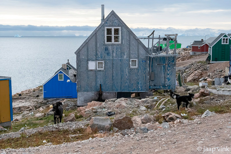 House with sledge dogs - Huis met sledehonden