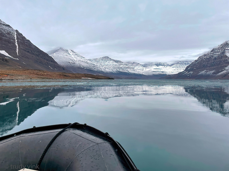 Zodiac cruise in icy fjord - Zodiac cruise in ijzig fjord
