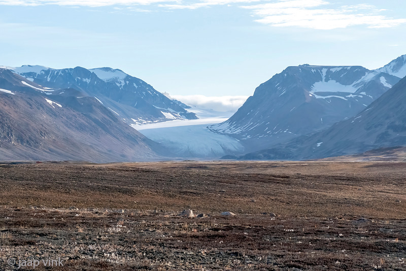 Glacier on Liverpool Land - Gletsjer op Liverpool Land
