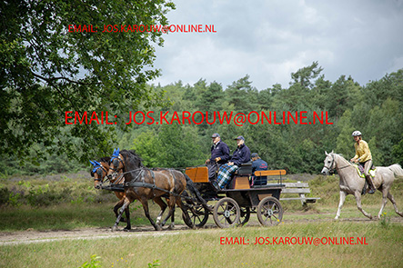 ZZZZ9614.jpg