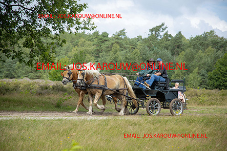 ZZZZ9761.jpg