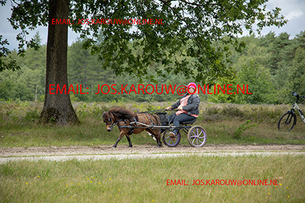 ZZZZ9775.jpg
