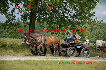 ZZZZ9785.jpg