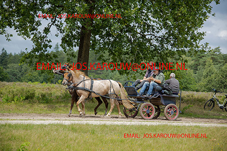 ZZZZ9795.jpg