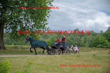 ZZZZ9856.jpg