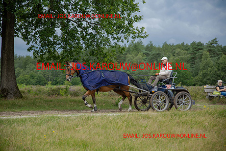 ZZZZ9893.jpg