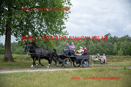 ZZZZ9984.jpg