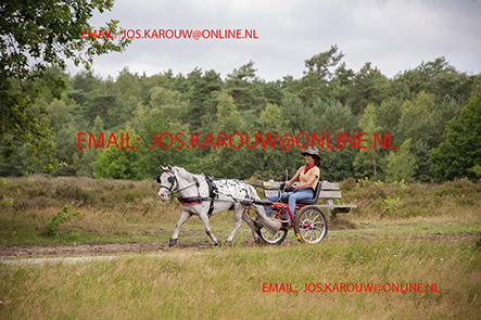 ZZZZ0064.jpg