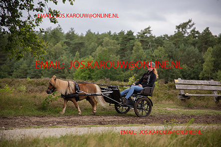 ZZZZ0164.jpg