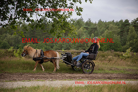ZZZZ0167.jpg