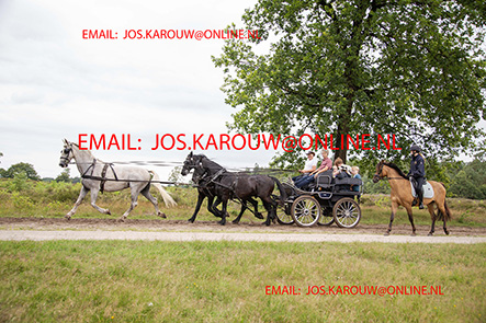 ZZZZ0246.jpg