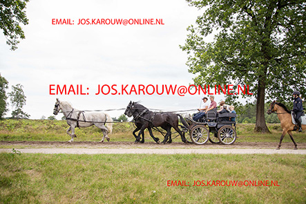 ZZZZ0249.jpg