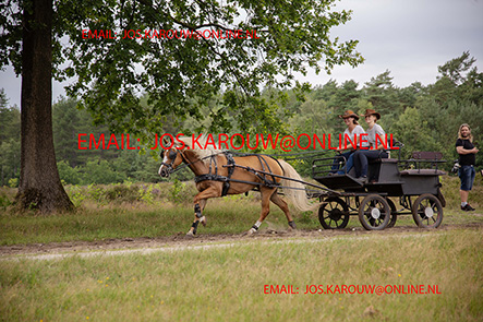 ZZZZ0254.jpg