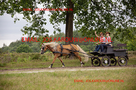 ZZZZ0258.jpg
