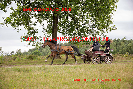 ZZZZ0343.jpg