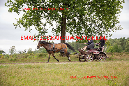 ZZZZ0344.jpg
