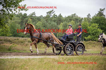 ZZZZ0364.jpg