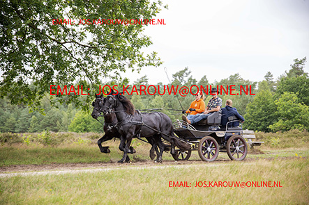 ZZZZ0396.jpg
