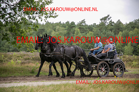 ZZZZ0438.jpg