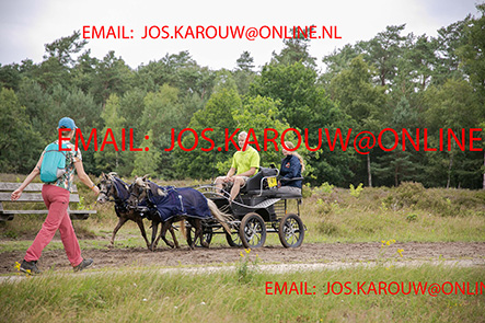 ZZZZ0447.jpg