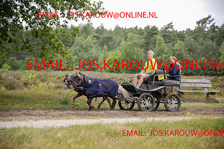 ZZZZ0450.jpg