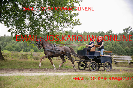 ZZZZ0463.jpg