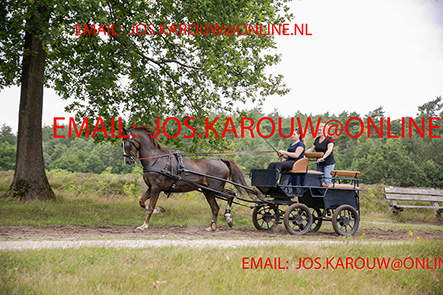 ZZZZ0464.jpg