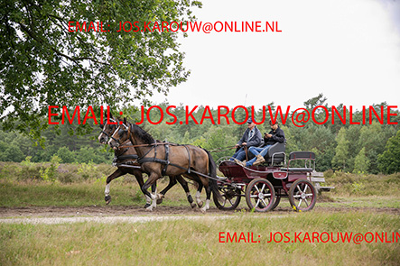 ZZZZ0478.jpg