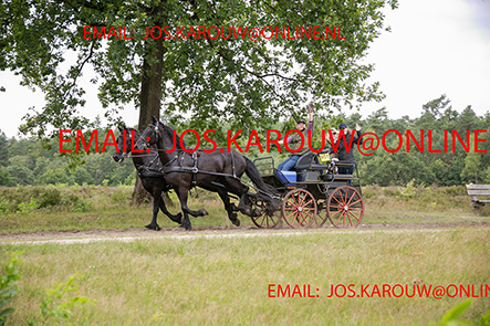 ZZZZ0488.jpg