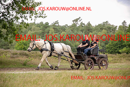 ZZZZ0520.jpg