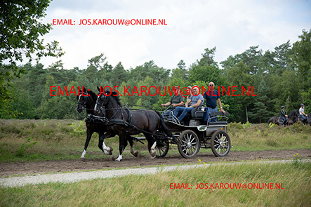 ZZZZ0638.jpg