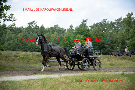 ZZZZ0645.jpg
