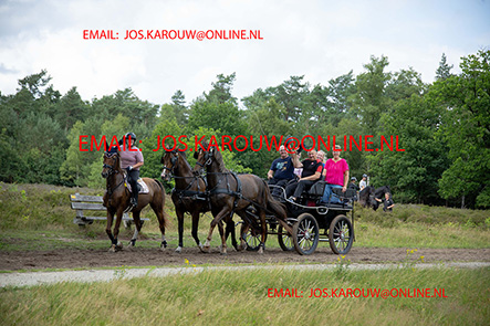ZZZZ0663.jpg