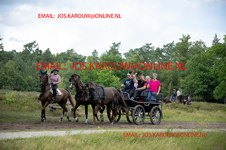 ZZZZ0664.jpg