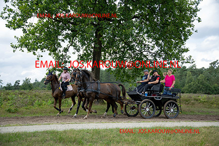 ZZZZ0667.jpg