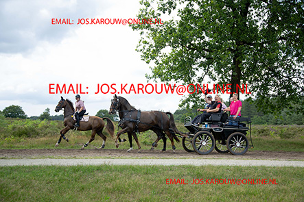 ZZZZ0674.jpg
