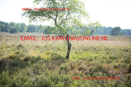 ZZZZ0773.jpg