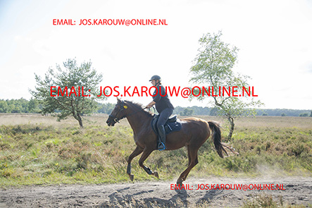ZZZZ0778.jpg