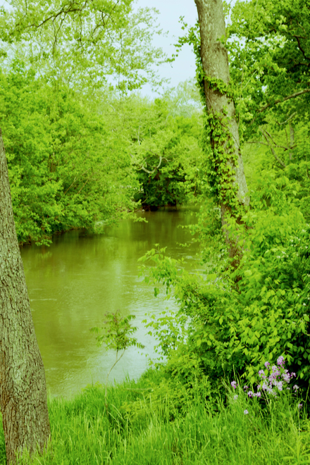 Antietam Creek in Spring